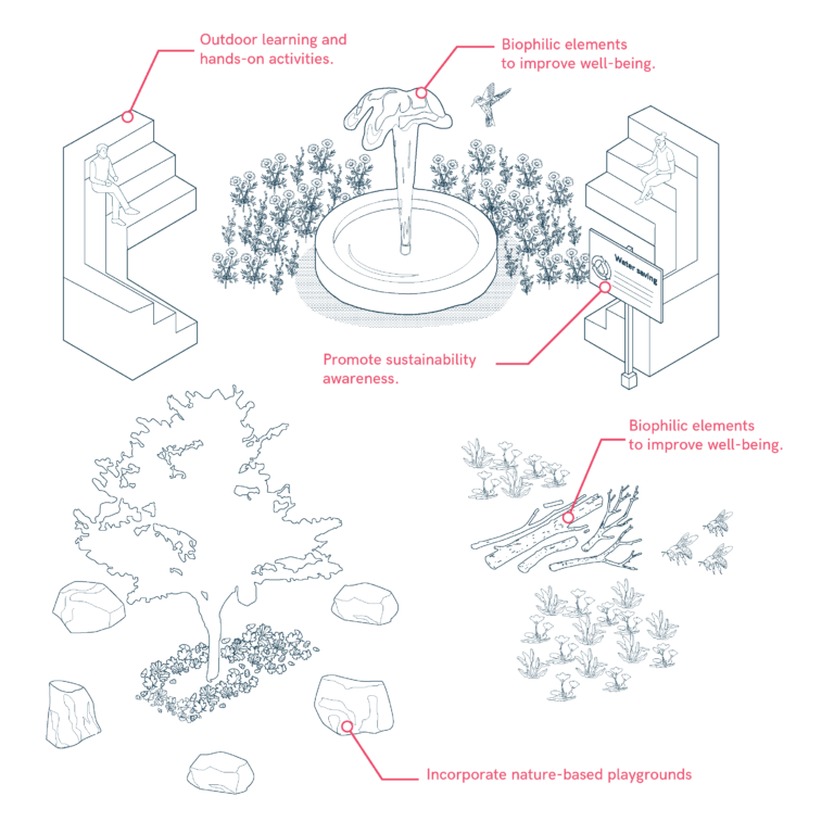 Natural Elements and Outdoor Learning