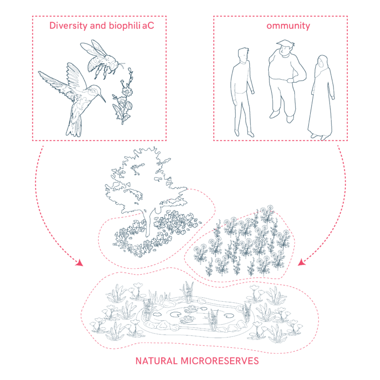 Environmental Education and Biodiversity Preservation