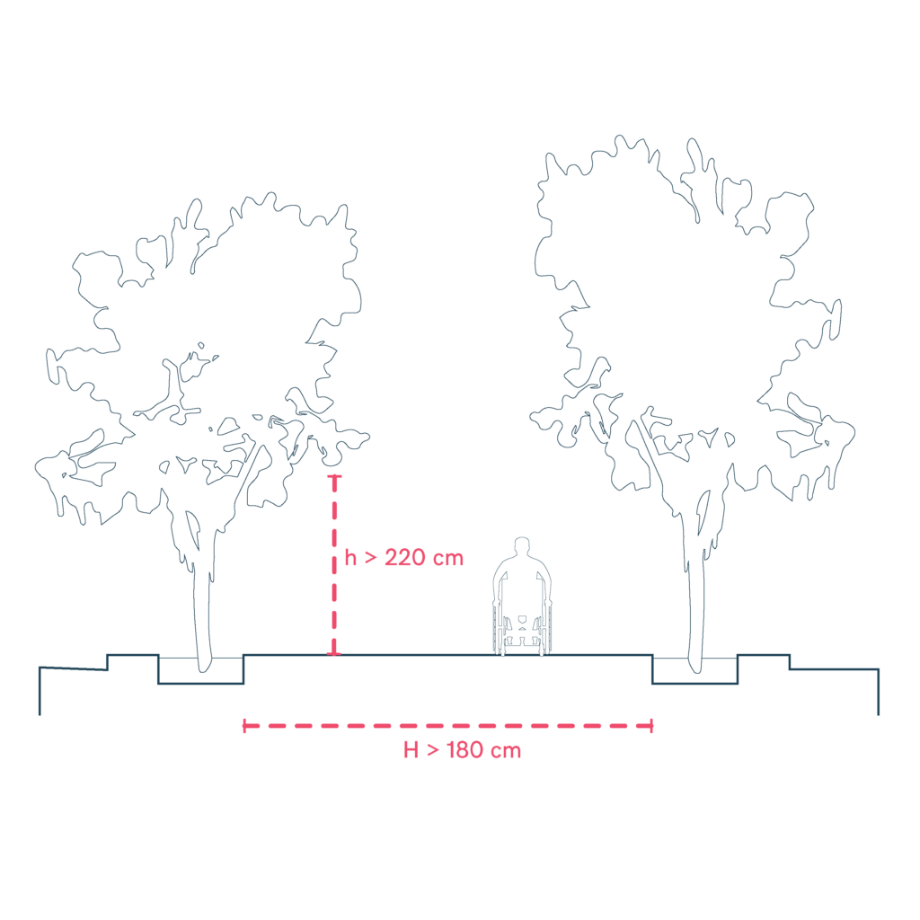 Accessible urban treescape with clearance for wheelchair users.